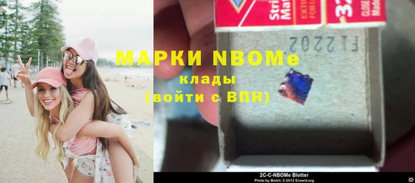 гидра Алексин