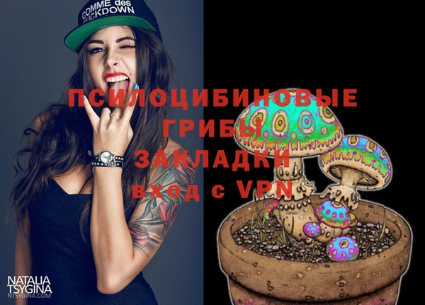 гидра Алексин