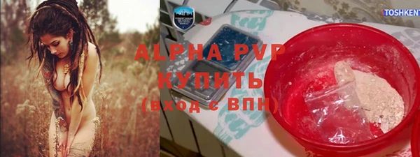 гидра Алексин