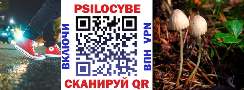 наркотики  Голицыно  Галлюциногенные грибы GOLDEN TEACHER 